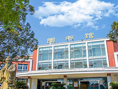 四川托普信息技術(shù)職業(yè)學(xué)院招生分?jǐn)?shù)線