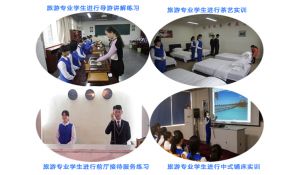 旅游服務(wù)與管理