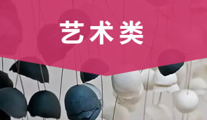 藝術(shù)類