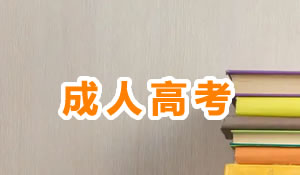 成人學(xué)歷教育（專升本）