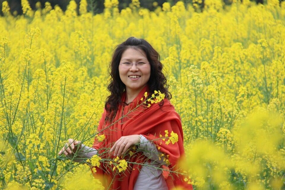 楊艷