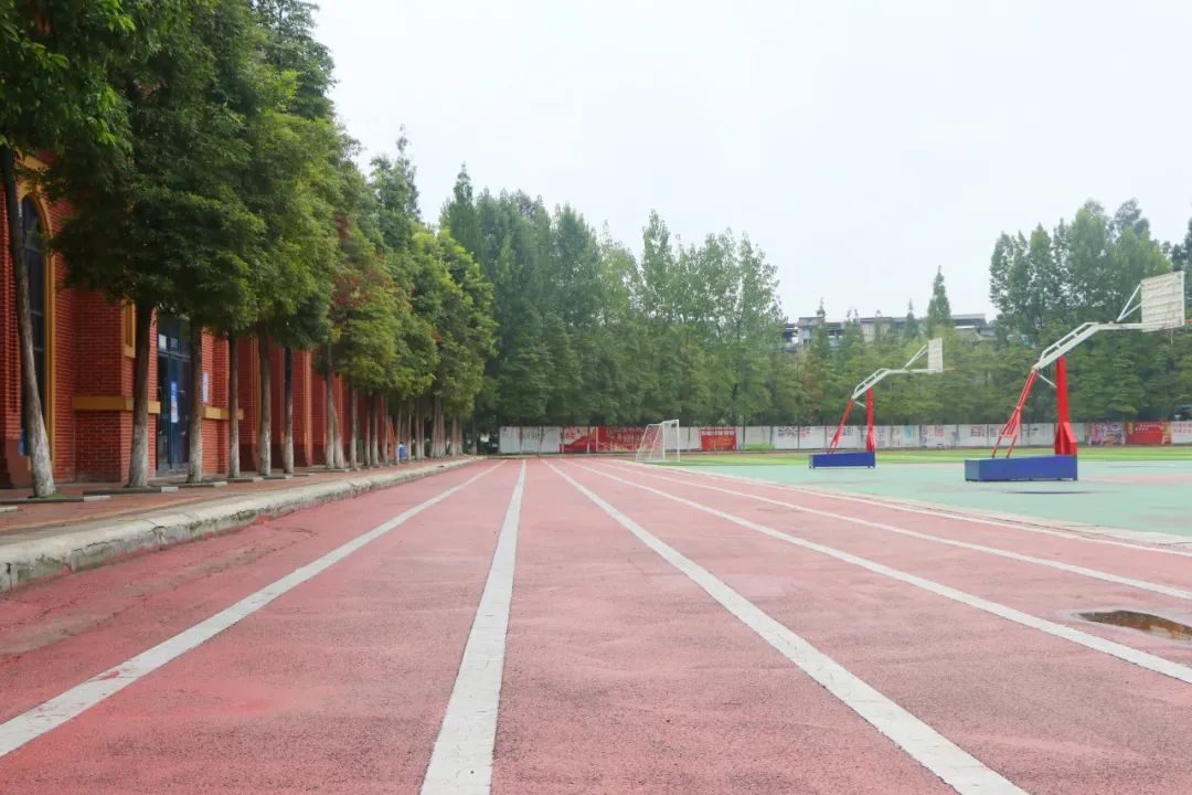 202308177dh9b