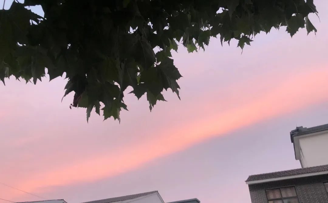 20230817qfulg