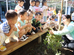 四川幼兒師范高等專科學(xué)校第一附屬幼兒園2024年春季招生公告