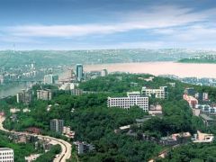 歡迎報考！西南醫(yī)科大學2024年博士研究生招生章程發(fā)布