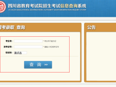 2023年成人高考錄取查詢通道已開通，快來看看你有沒有被錄取