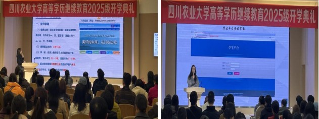 學前培訓現(xiàn)場